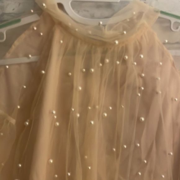 Pearled Pink Sheer Longsleeve Over Blouse - Picture 6 of 7